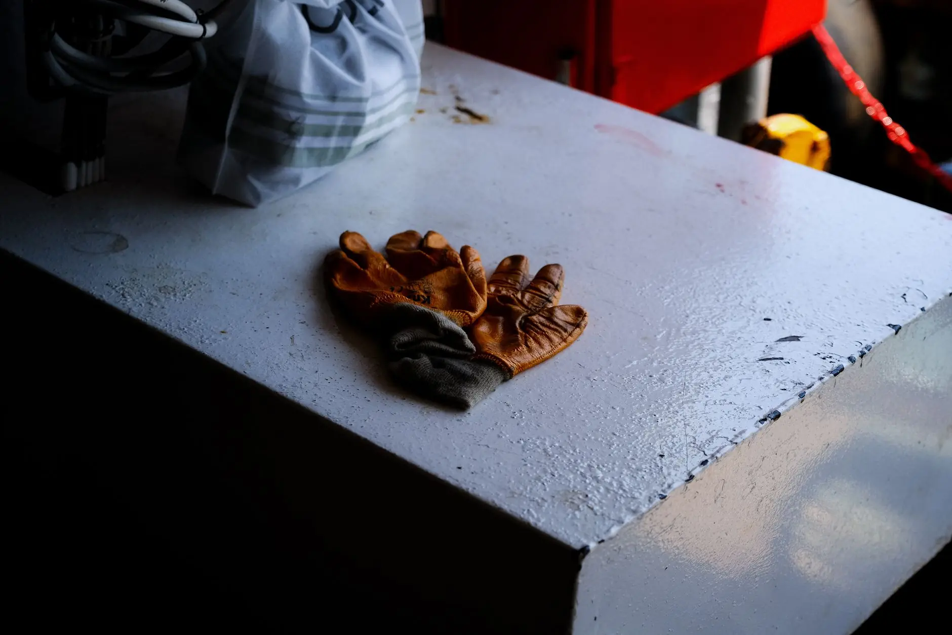 土鸡与笼养鸡鸡蛋品质对比：散养模式下营养成分分析