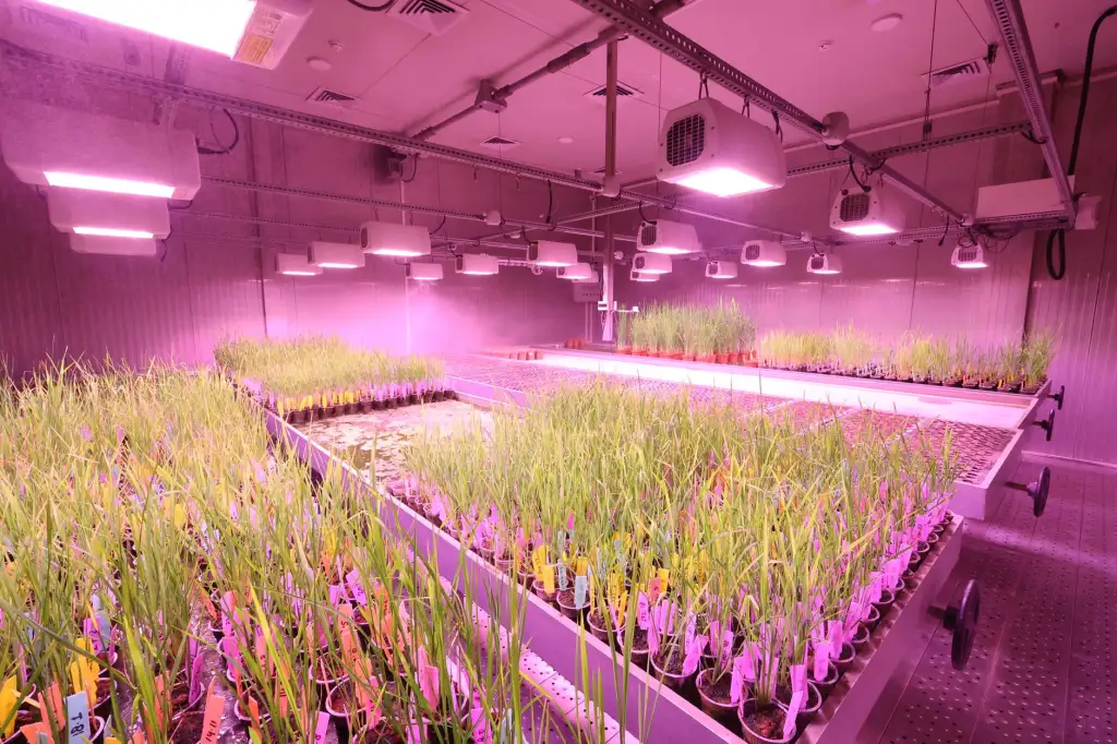 奉节禾诺散养土鸡产品规格参数与品质对比分析