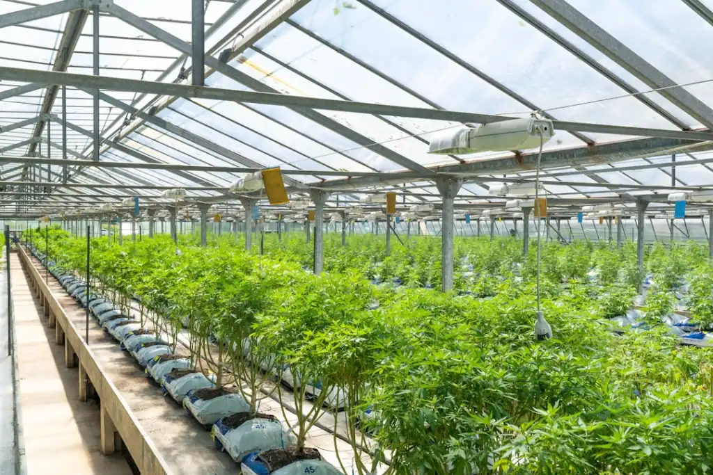 奉节禾诺散养土鸡产品规格参数与品质对比分析