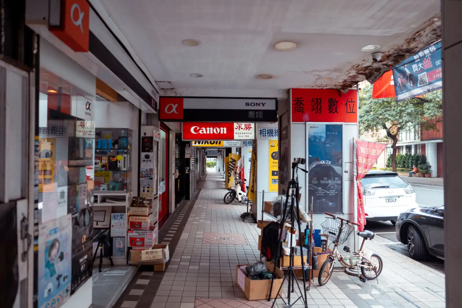 奉节县禾诺家禽饲养专业合作社散养鸡养殖技术要点解析