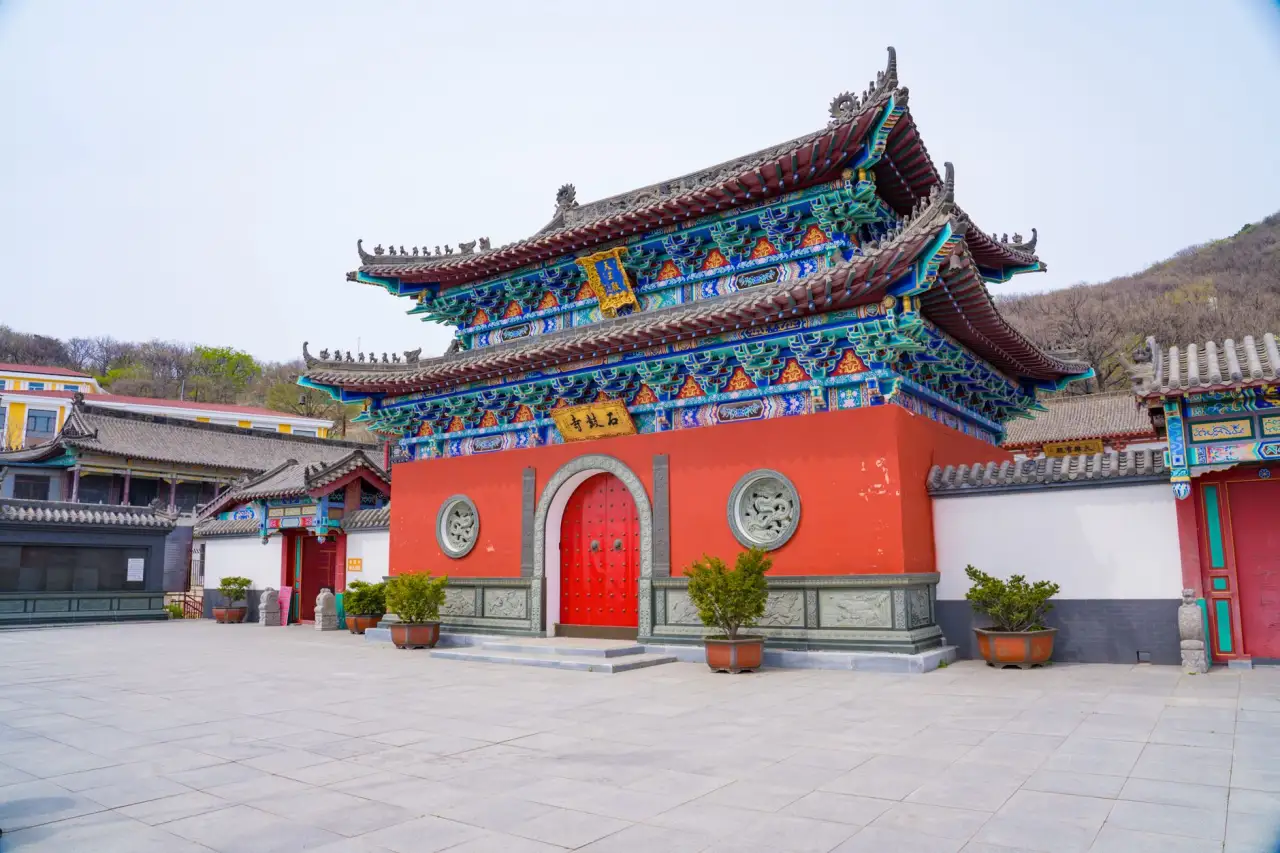 禾诺家禽养殖合作社生态土鸡养殖技术优势解析