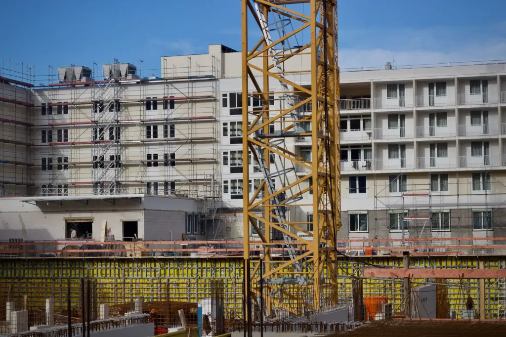 生态散养鸡与笼养鸡的养殖模式对比：成本、品质与市场差异