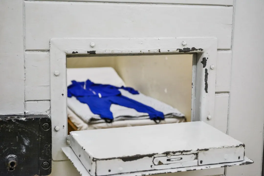 散养土鸡与笼养鸡的养殖模式差异及禽肉品质对比分析